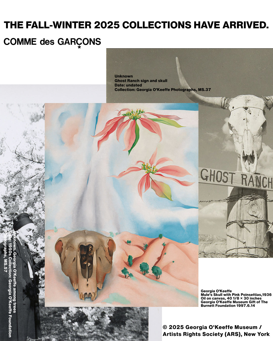 COMME des GARÇONS eSHOP – COMME des GARÇONS Germany